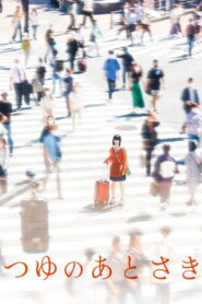 つゆのあとさき vider