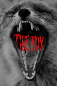 The Fox vider