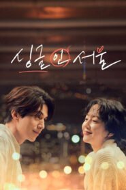 싱글 인 서울 vider