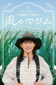 風のマジム vider