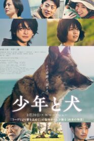 少年と犬 vider