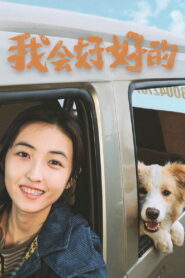 我会好好的 vider