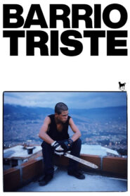 Dzielnica smutku vider