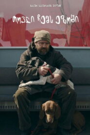 თოვლი ჩემს ეზოში vider