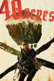 40 Acres vider