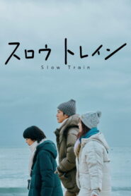 スロウトレイン vider
