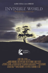 Invisible World vider