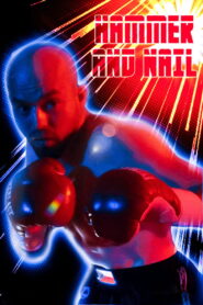 Hammer and Nail vider