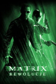 Matrix Rewolucje vider
