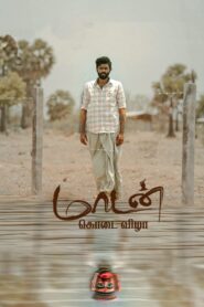 மாடன் கொடை விழா vider