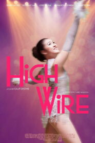 High Wire vider