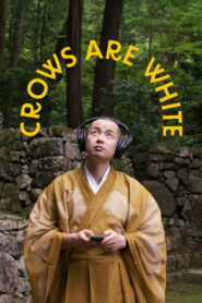 Crows Are White vider