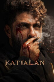 Kattalan vider