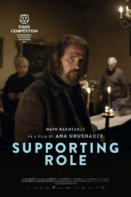 მეორეხარისხოვანი როლი vider