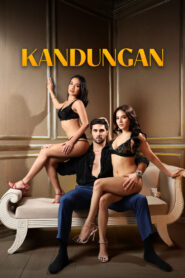 Kandungan vider