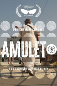 Amuleto vider