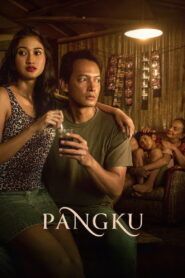 Pangku vider