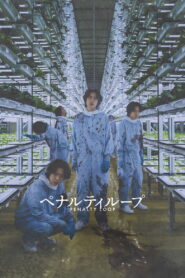 ペナルティループ vider