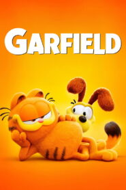 Garfield vider