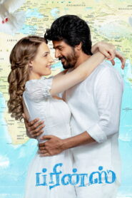 ப்ரின்ஸ் vider