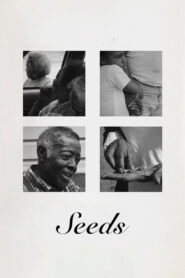 Seeds vider