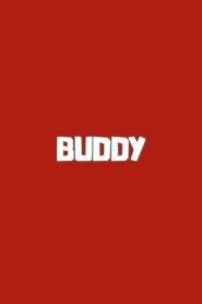Buddy vider