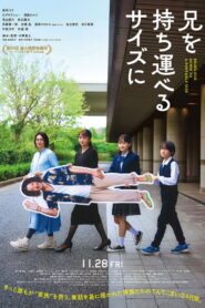 兄を持ち運べるサイズに vider