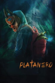 Platanero vider