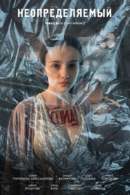 Неопределяемый vider