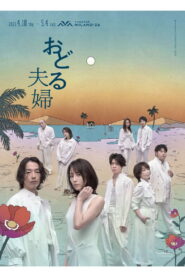 おどる夫婦 vider