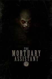 The Mortuary Assistant vider