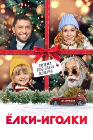 Ёлки-иголки vider