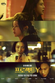 프로젝트 Y vider