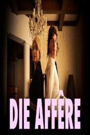Die Affêre vider