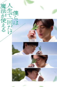 僕らは人生で一回だけ魔法が使える vider