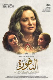 النافورة vider