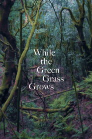 While the Green Grass Grows vider