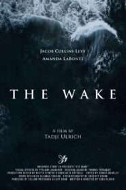The Wake vider