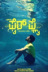 ಫೈರ್ ಫ್ಲೈ vider