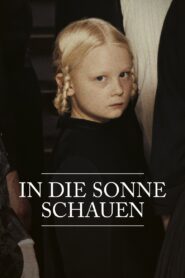 Wpatrując się w słońce vider