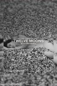 Dwanaście księżyców vider
