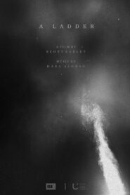 A Ladder vider