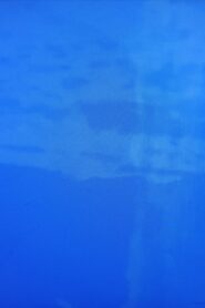 Les Yeux d’Alice Guy-Blaché vider