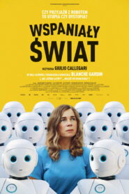 Wspaniały świat vider