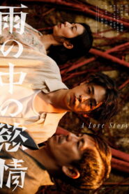 雨の中の慾情 vider