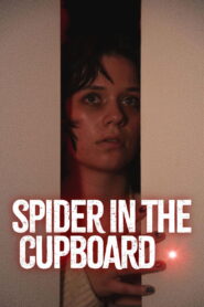 Spider in the Cupboard vider