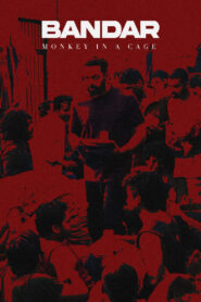 Monkey In A Cage vider