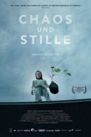 Chaos und Stille vider