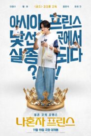 나혼자 프린스 vider