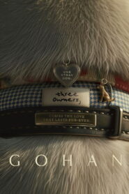 โกฮัง vider